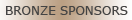 Bronze Sponsors